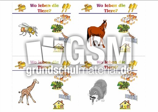 HC-Tiere leben B 07.pdf